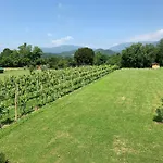 Del Fiume Ragogna